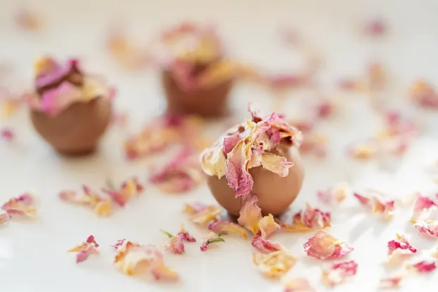 Crystal Casino Application Android/iOS