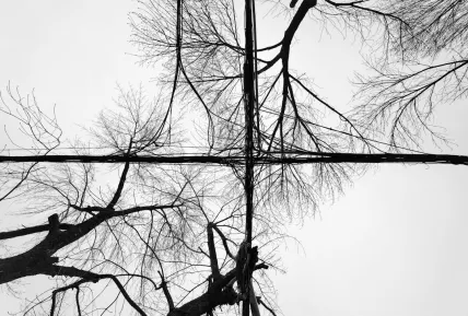 Crystal Casino Application mobile